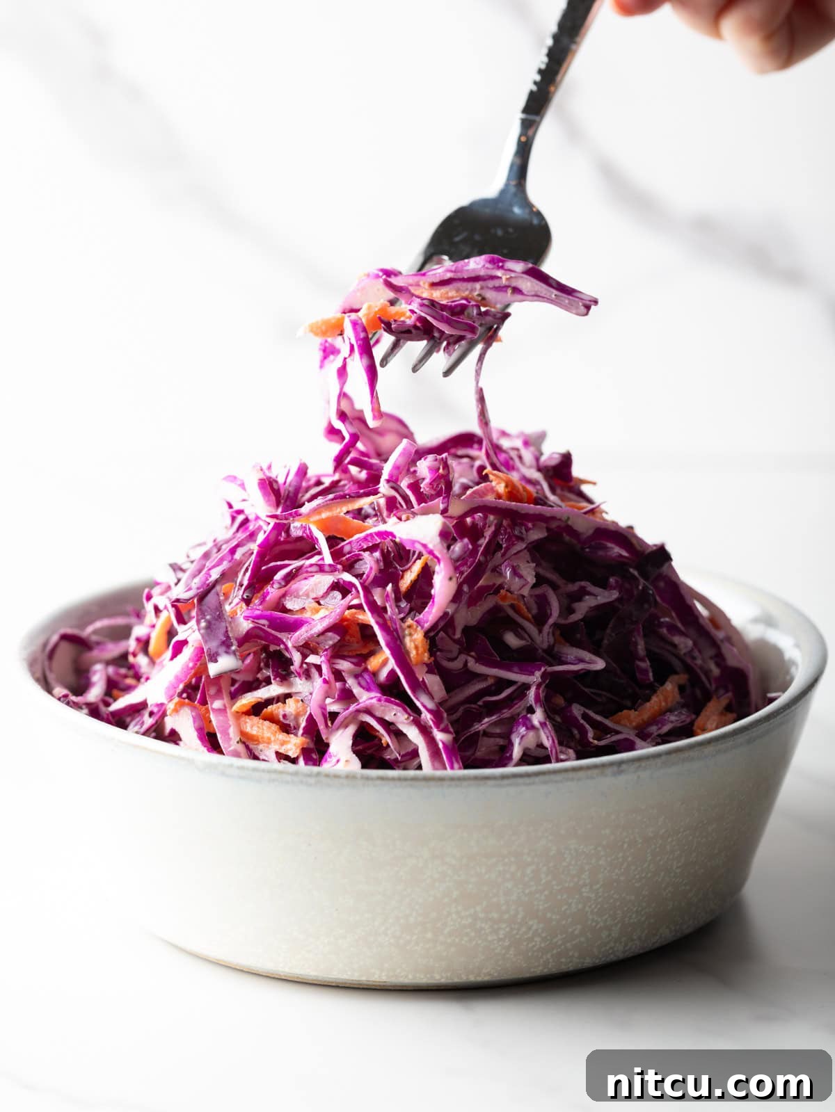 Crimson Cabbage Crunch 10 A fork is holding a bite of red cabbage slaw above a bowl of the cabbage slaw recipe.