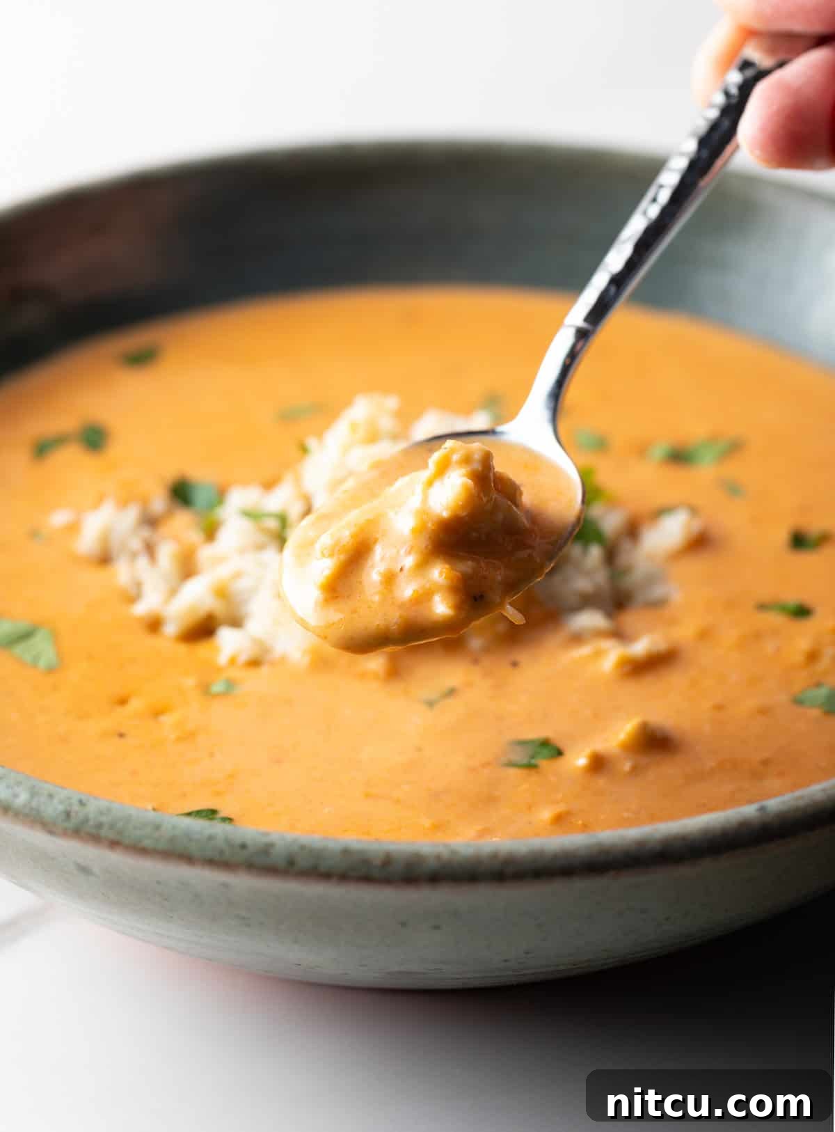 Decadent Crab Bisque 5 A spoon with a bite of crab bisque soup is being held over a bowl of the soup.