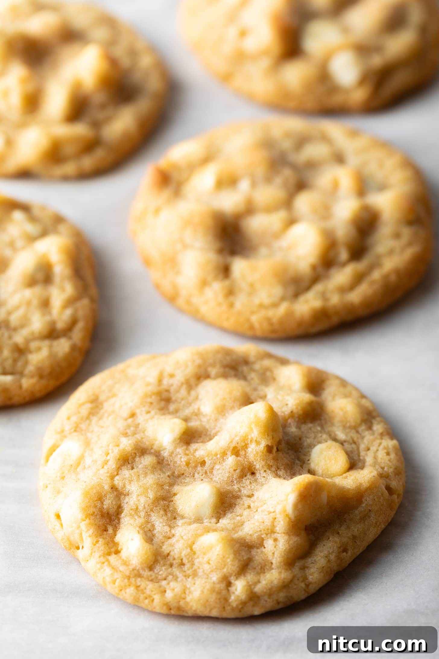 Close up view of three white chocolate macadamia nut cookies on parchment.