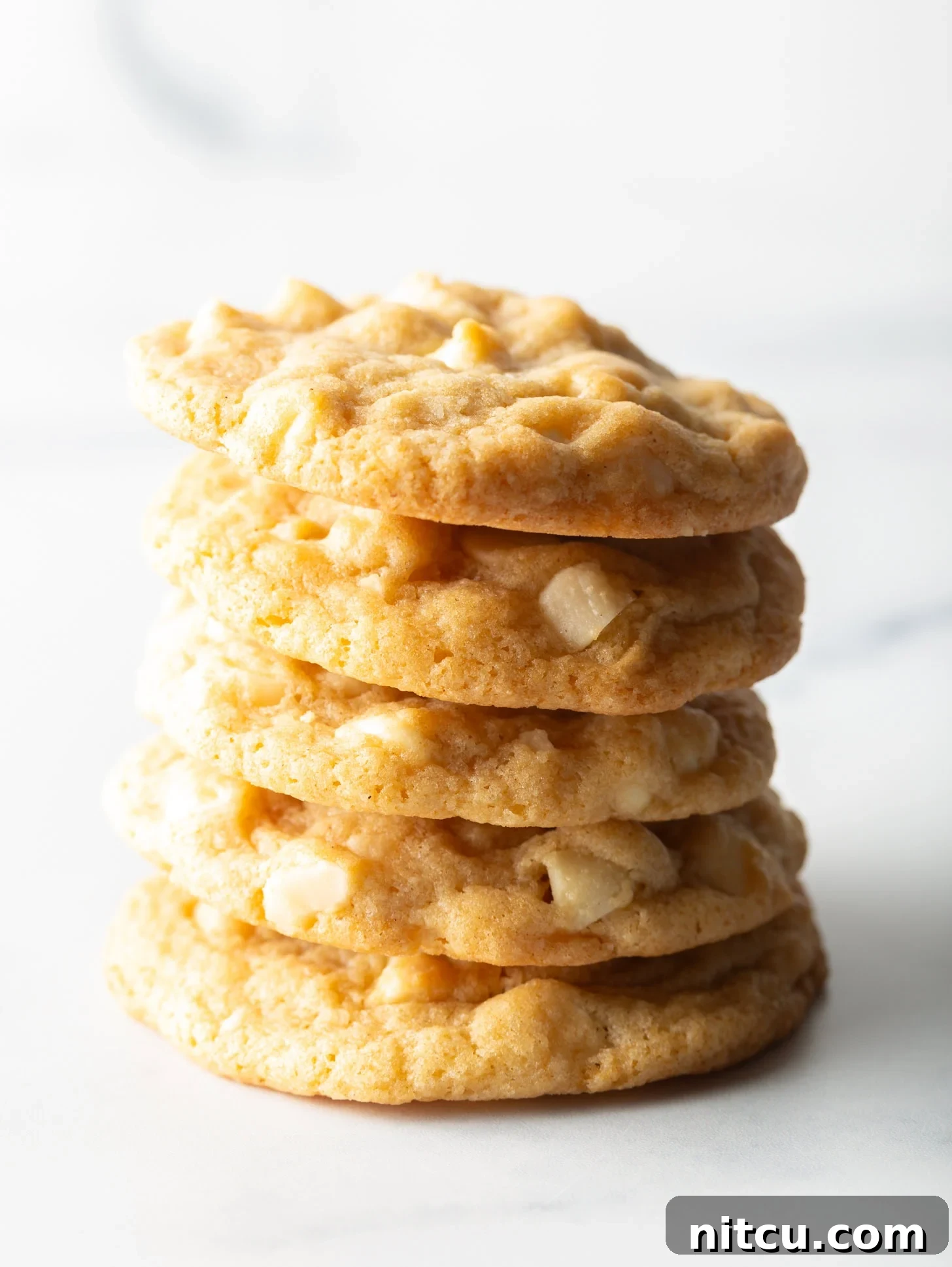 A stack of 5 macadamia nut cookies with white chocolate chips.