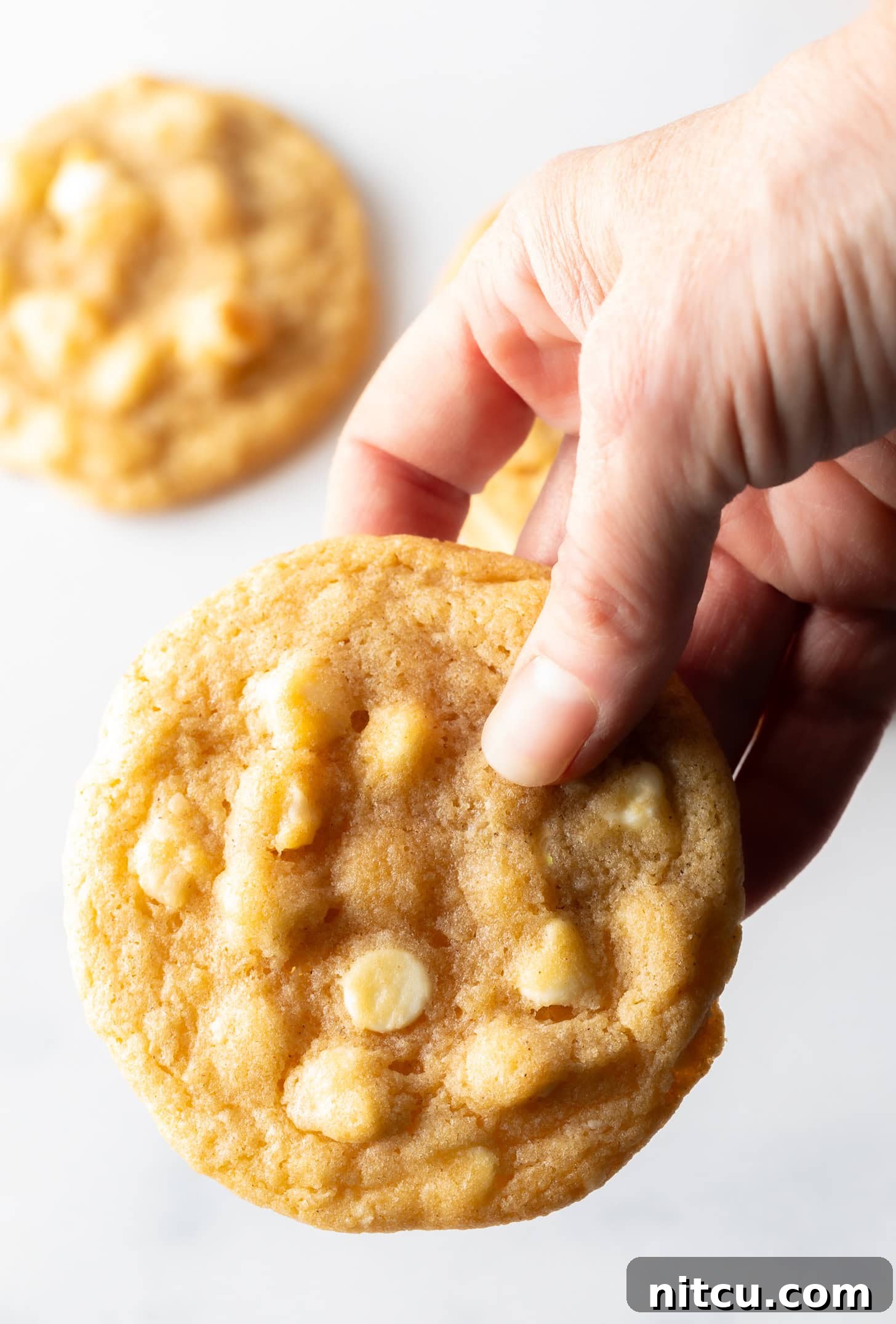 Hand holding a cookie with white chocolate chips and macadamia nuts.