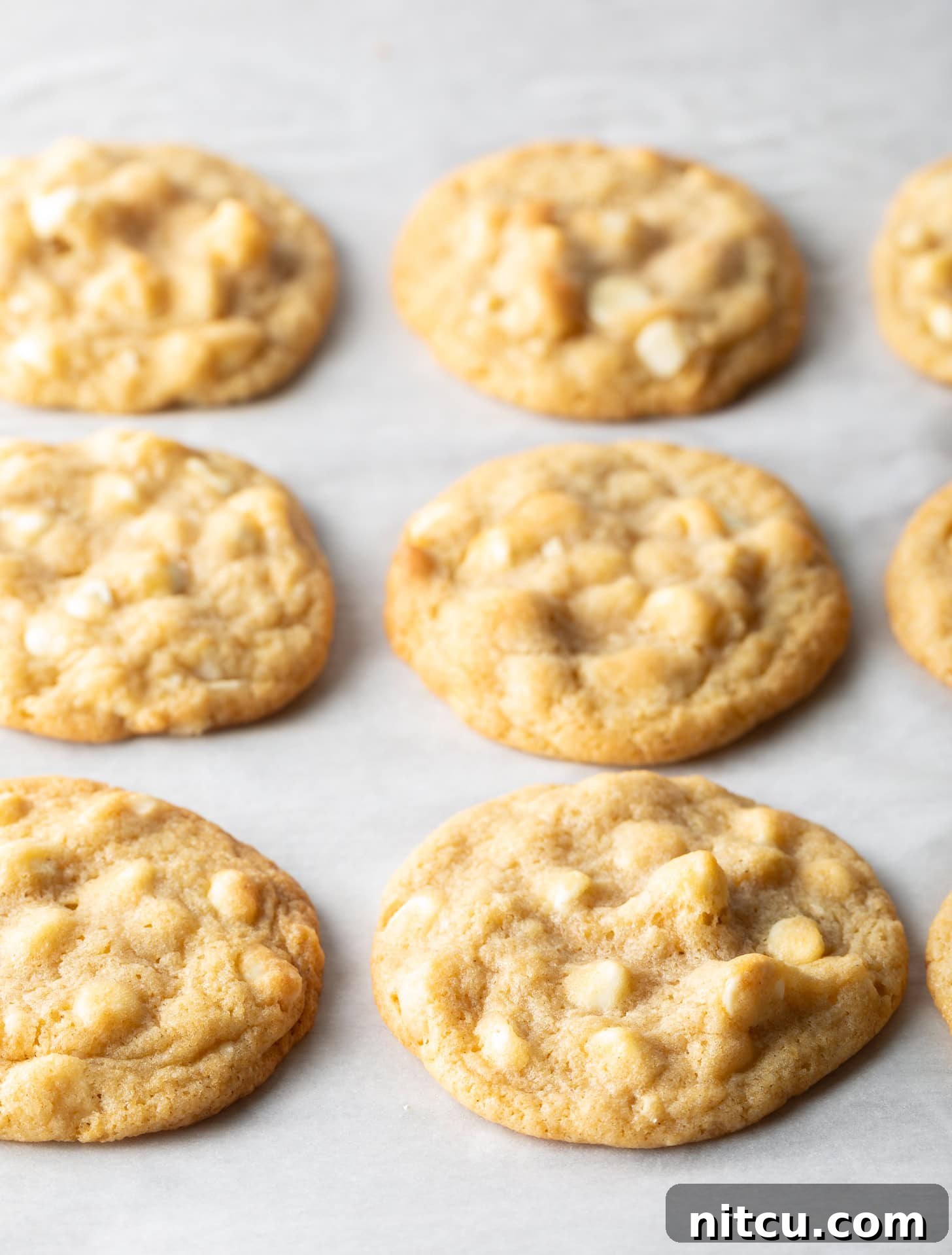 Three rows of three each white chocolate macadamia nut cookies on parchment.