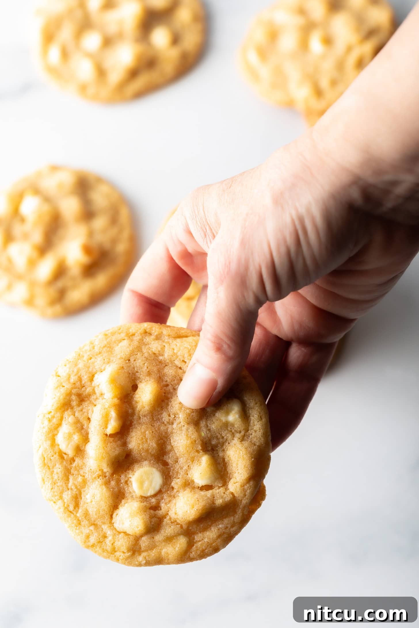 Hand holding a cookie with white chocolate chips and macadamia nuts.