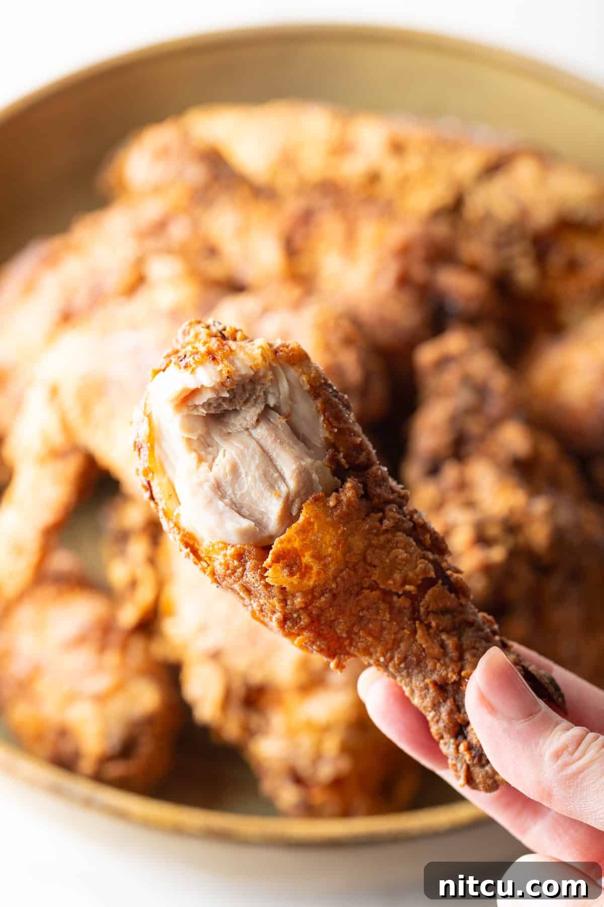 A hand holding a southern fried chicken drumstick over a bowl of southern fried chicken pieces.
